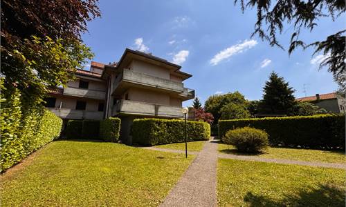 TRILOCALE E SERVIZI 